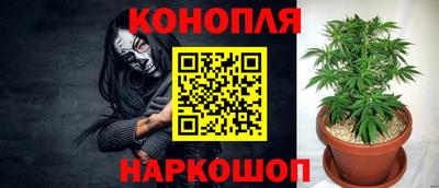 марихуана Кудрово