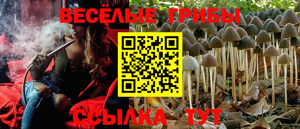 Псилоцибиновые грибы ЛСД  Вход с VPN  Кыштым 